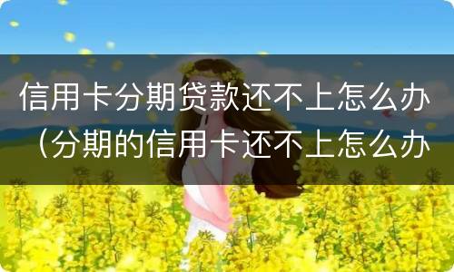 信用卡分期贷款还不上怎么办（分期的信用卡还不上怎么办）