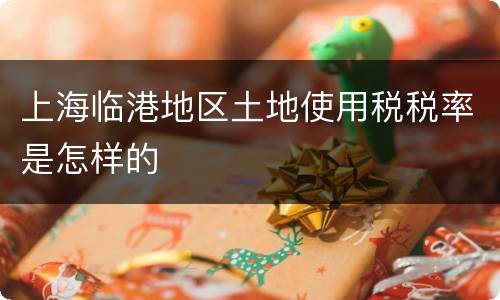 上海临港地区土地使用税税率是怎样的