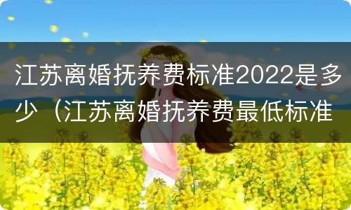 江苏离婚抚养费标准2022是多少（江苏离婚抚养费最低标准）