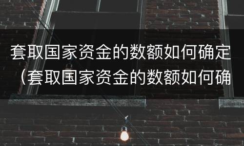 套取国家资金的数额如何确定（套取国家资金的数额如何确定）