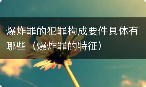 爆炸罪的犯罪构成要件具体有哪些（爆炸罪的特征）