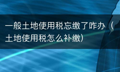 一般土地使用税忘缴了咋办（土地使用税怎么补缴）