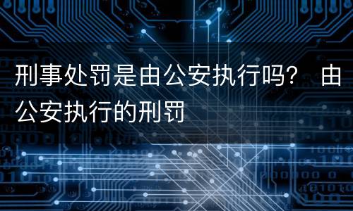 刑事处罚是由公安执行吗？ 由公安执行的刑罚