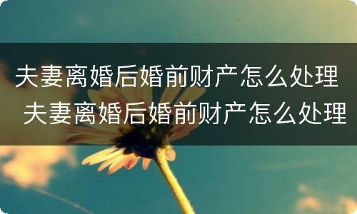 夫妻离婚后婚前财产怎么处理 夫妻离婚后婚前财产怎么处理的