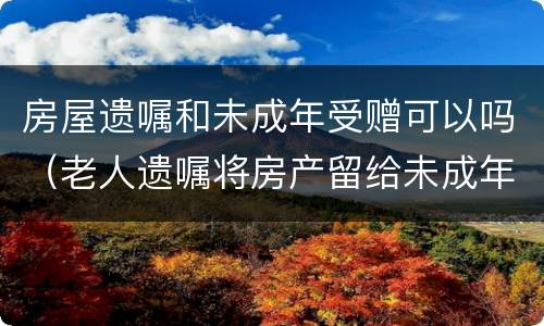 房屋遗嘱和未成年受赠可以吗（老人遗嘱将房产留给未成年孙子）