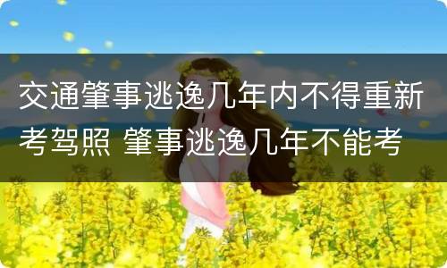 交通肇事逃逸几年内不得重新考驾照 肇事逃逸几年不能考