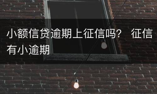 小额信贷逾期上征信吗？ 征信有小逾期