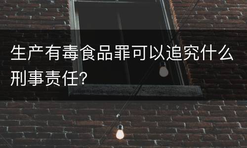 生产有毒食品罪可以追究什么刑事责任？