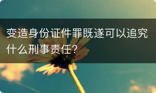 变造身份证件罪既遂可以追究什么刑事责任?