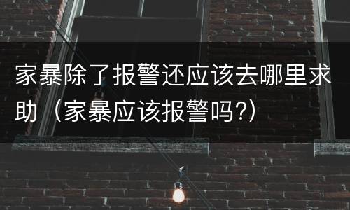 家暴除了报警还应该去哪里求助（家暴应该报警吗?）