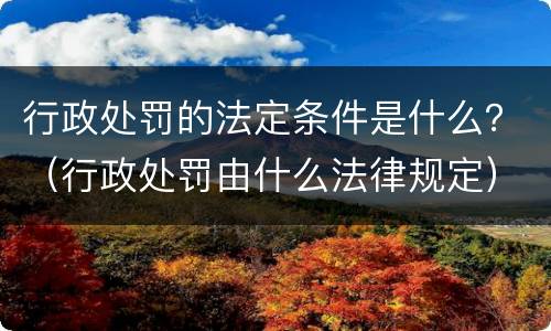 行政处罚的法定条件是什么？（行政处罚由什么法律规定）