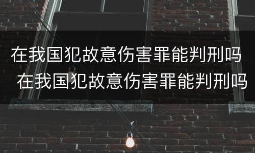 在我国犯故意伤害罪能判刑吗 在我国犯故意伤害罪能判刑吗