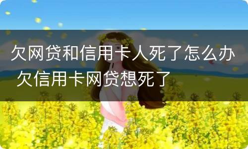 欠网贷和信用卡人死了怎么办 欠信用卡网贷想死了