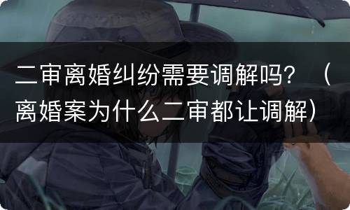二审离婚纠纷需要调解吗？（离婚案为什么二审都让调解）