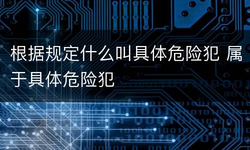 根据规定什么叫具体危险犯 属于具体危险犯