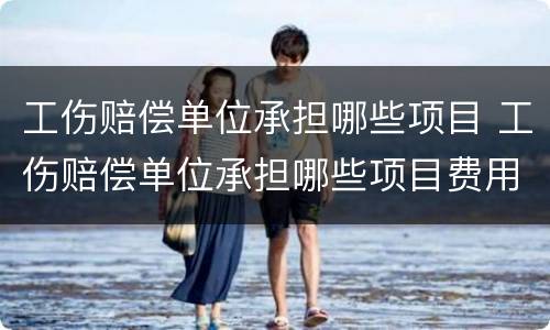 工伤赔偿单位承担哪些项目 工伤赔偿单位承担哪些项目费用