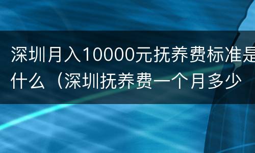 深圳月入10000元抚养费标准是什么（深圳抚养费一个月多少钱）