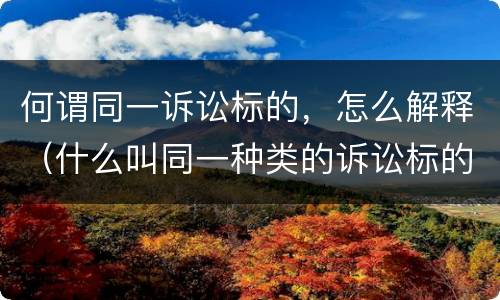何谓同一诉讼标的，怎么解释（什么叫同一种类的诉讼标的）