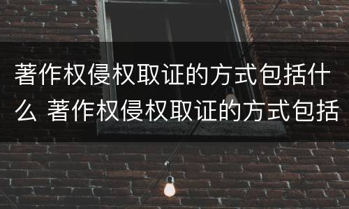著作权侵权取证的方式包括什么 著作权侵权取证的方式包括什么