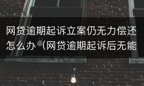 网贷逾期起诉立案仍无力偿还怎么办（网贷逾期起诉后无能力偿还）