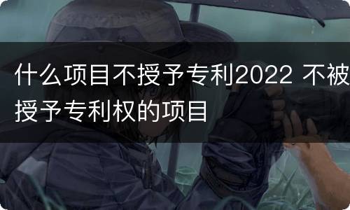 什么项目不授予专利2022 不被授予专利权的项目