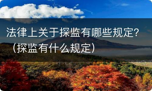 法律上关于探监有哪些规定？（探监有什么规定）