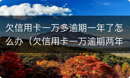 欠信用卡一万多逾期一年了怎么办（欠信用卡一万逾期两年还多少）