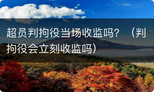 超员判拘役当场收监吗？（判拘役会立刻收监吗）