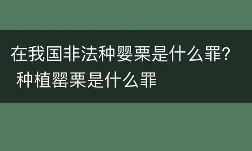 在我国非法种婴栗是什么罪？ 种植罂栗是什么罪
