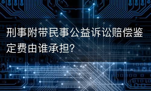 刑事附带民事公益诉讼赔偿鉴定费由谁承担？