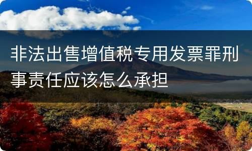 非法出售增值税专用发票罪刑事责任应该怎么承担
