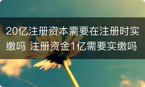 20亿注册资本需要在注册时实缴吗 注册资金1亿需要实缴吗