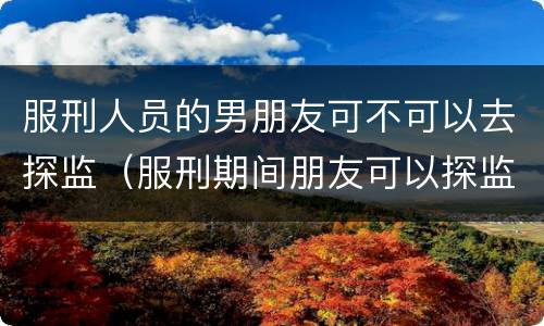 服刑人员的男朋友可不可以去探监（服刑期间朋友可以探监吗）