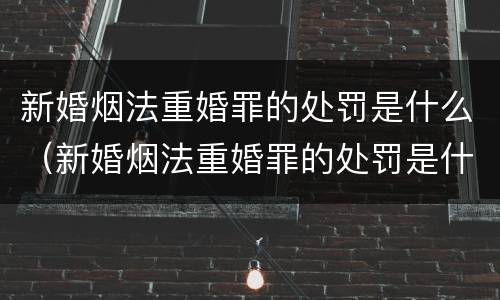 新婚烟法重婚罪的处罚是什么（新婚烟法重婚罪的处罚是什么）