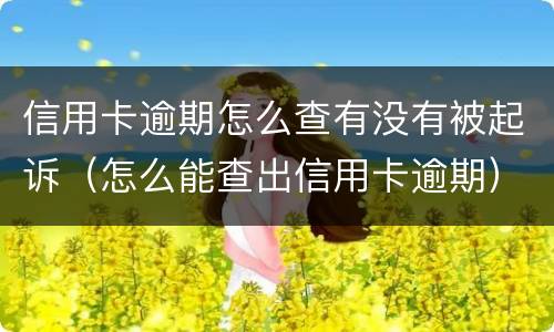 信用卡逾期怎么查有没有被起诉（怎么能查出信用卡逾期）