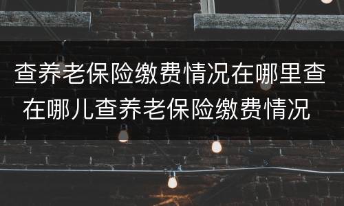 查养老保险缴费情况在哪里查 在哪儿查养老保险缴费情况