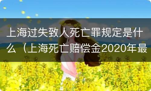 上海过失致人死亡罪规定是什么（上海死亡赔偿金2020年最新标准）