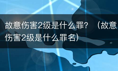 故意伤害2级是什么罪？（故意伤害2级是什么罪名）