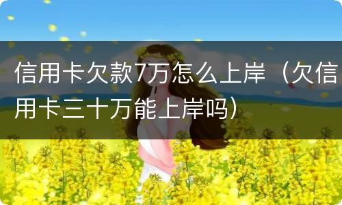 信用卡欠款7万怎么上岸（欠信用卡三十万能上岸吗）