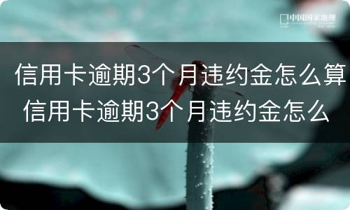 信用卡逾期3个月违约金怎么算 信用卡逾期3个月违约金怎么算的