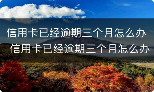 信用卡已经逾期三个月怎么办 信用卡已经逾期三个月怎么办呢