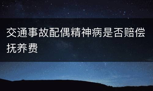 交通事故配偶精神病是否赔偿抚养费