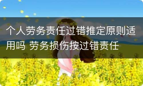 个人劳务责任过错推定原则适用吗 劳务损伤按过错责任