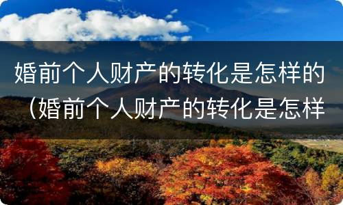 婚前个人财产的转化是怎样的（婚前个人财产的转化是怎样的过程）