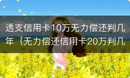 透支信用卡10万无力偿还判几年（无力偿还信用卡20万判几年）