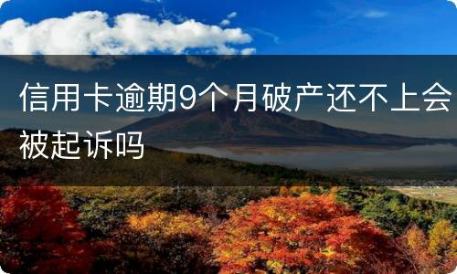 信用卡逾期9个月破产还不上会被起诉吗
