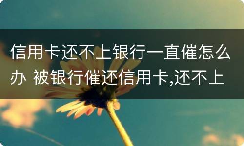 信用卡还不上银行一直催怎么办 被银行催还信用卡,还不上,能怎么样