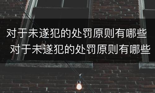 对于未遂犯的处罚原则有哪些 对于未遂犯的处罚原则有哪些要求