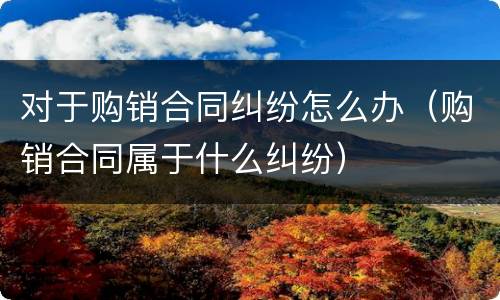 对于购销合同纠纷怎么办（购销合同属于什么纠纷）