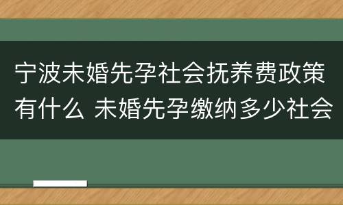 宁波未婚先孕社会抚养费政策有什么 未婚先孕缴纳多少社会抚养费